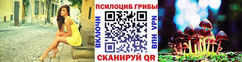Купить  Мончегорск  Галлюциногенные грибы Cubensis 